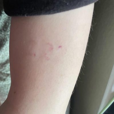 WhatsApp Image 2024-04-08 at 10.33.40_4e37f6f0